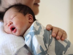 代生男孩包性别
